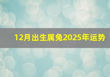 12月出生属兔2025年运势