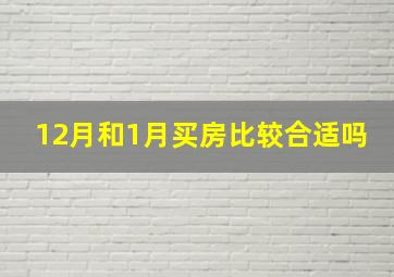 12月和1月买房比较合适吗