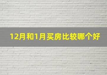 12月和1月买房比较哪个好