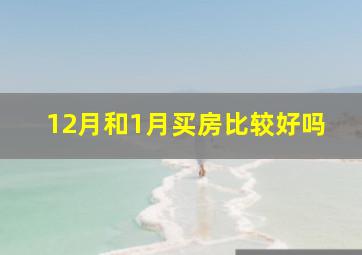 12月和1月买房比较好吗