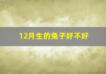 12月生的兔子好不好