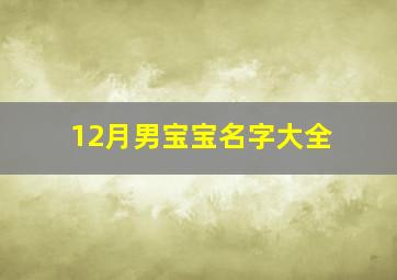 12月男宝宝名字大全