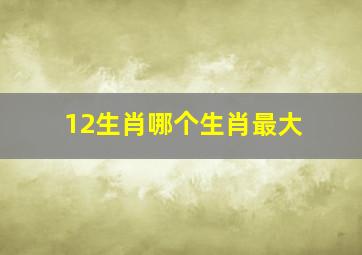 12生肖哪个生肖最大