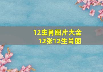 12生肖图片大全12张12生肖图