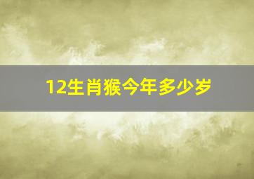 12生肖猴今年多少岁