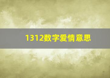 1312数字爱情意思