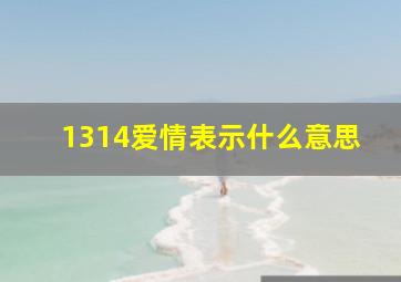 1314爱情表示什么意思