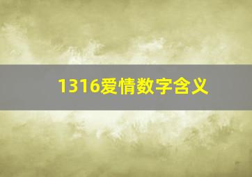 1316爱情数字含义