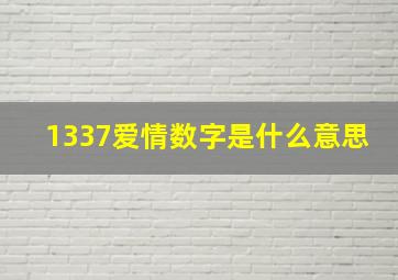 1337爱情数字是什么意思