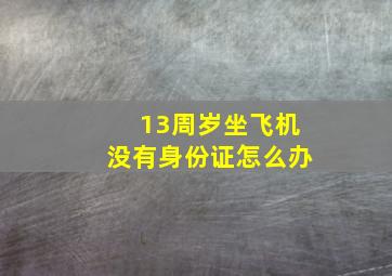 13周岁坐飞机没有身份证怎么办