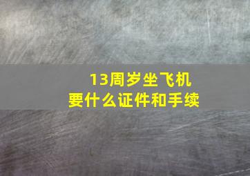 13周岁坐飞机要什么证件和手续