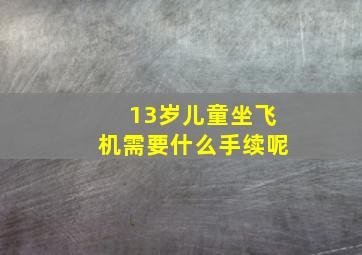 13岁儿童坐飞机需要什么手续呢