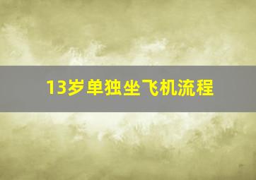 13岁单独坐飞机流程