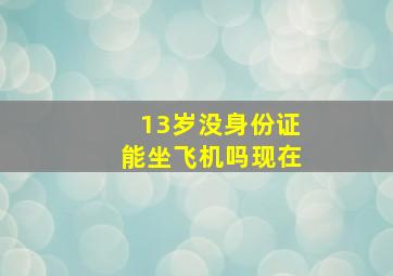 13岁没身份证能坐飞机吗现在