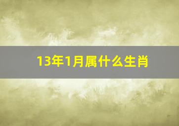 13年1月属什么生肖