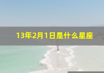 13年2月1日是什么星座