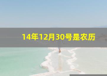 14年12月30号是农历