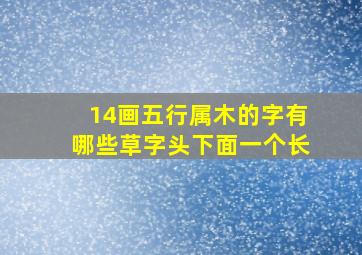 14画五行属木的字有哪些草字头下面一个长