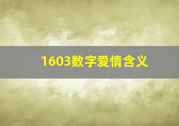 1603数字爱情含义