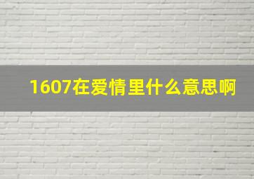 1607在爱情里什么意思啊