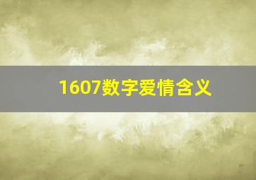 1607数字爱情含义