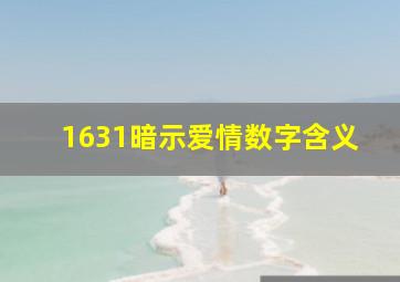 1631暗示爱情数字含义