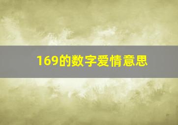 169的数字爱情意思