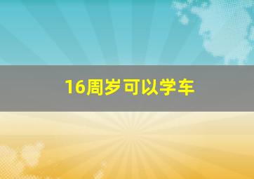 16周岁可以学车