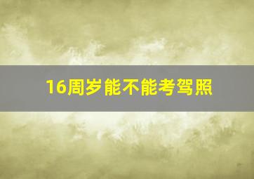 16周岁能不能考驾照