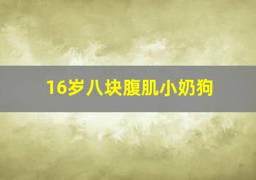 16岁八块腹肌小奶狗