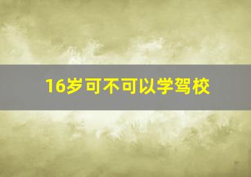 16岁可不可以学驾校