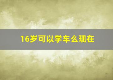 16岁可以学车么现在