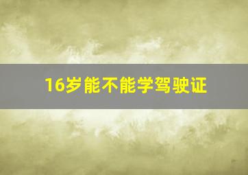 16岁能不能学驾驶证