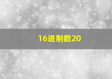 16进制数20