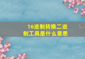 16进制转换二进制工具是什么意思