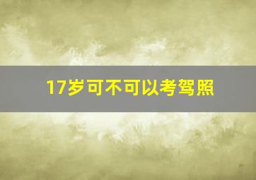 17岁可不可以考驾照