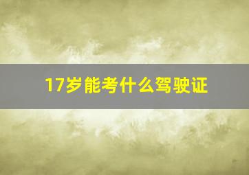 17岁能考什么驾驶证