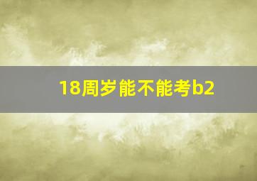 18周岁能不能考b2