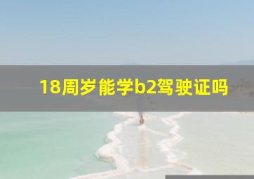 18周岁能学b2驾驶证吗