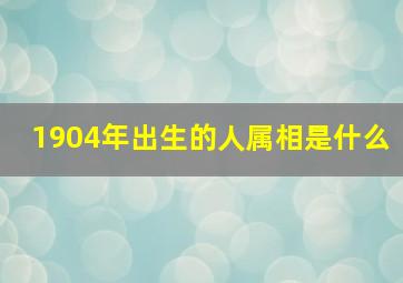 1904年出生的人属相是什么