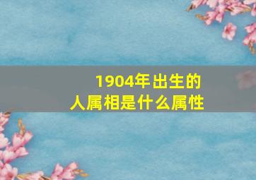 1904年出生的人属相是什么属性