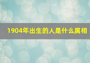 1904年出生的人是什么属相