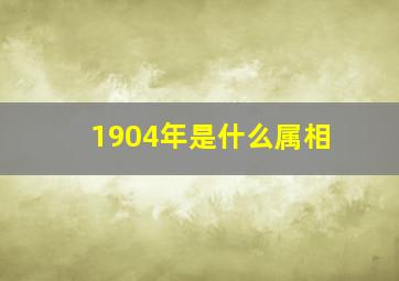 1904年是什么属相