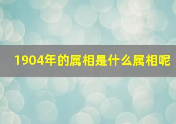 1904年的属相是什么属相呢