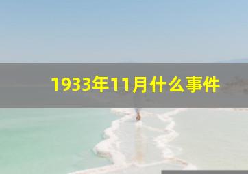 1933年11月什么事件