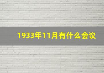 1933年11月有什么会议