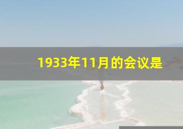 1933年11月的会议是