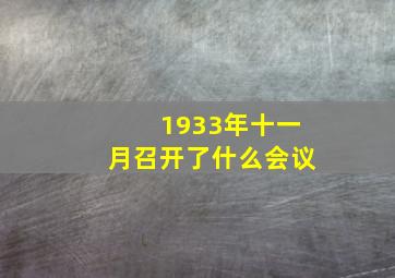 1933年十一月召开了什么会议