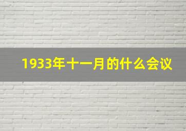 1933年十一月的什么会议