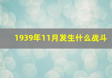 1939年11月发生什么战斗